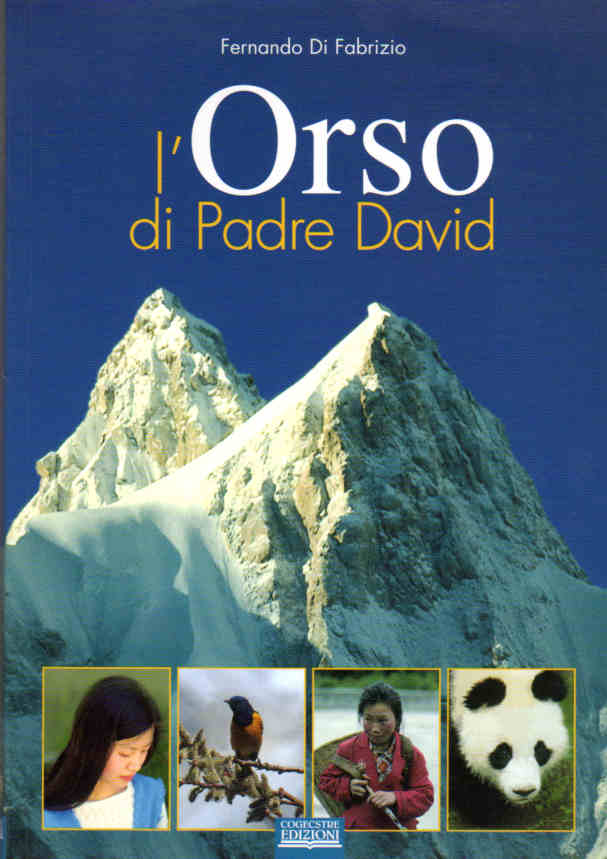 2004 - l'Orso di Padre David
